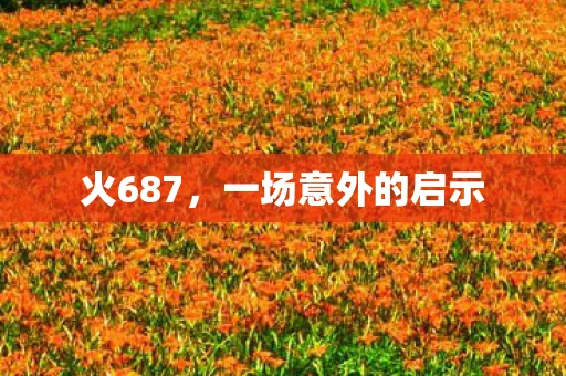 火687，一场意外的启示
