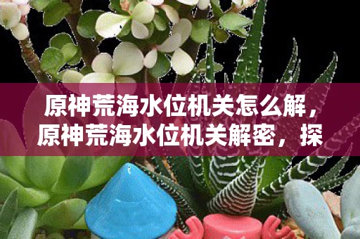 原神荒海水位机关怎么解，原神荒海水位机关解密，探索古老遗迹的奥秘
