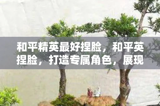 和平精英最好捏脸，和平英捏脸，打造专属角色，展现个性风采