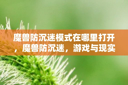 魔兽防沉迷模式在哪里打开，魔兽防沉迷，游戏与现实的平衡之道