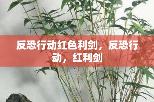 反恐行动红色利剑，反恐行动，红利剑