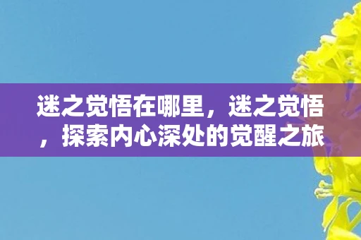 迷之觉悟在哪里，迷之觉悟，探索内心深处的觉醒之旅