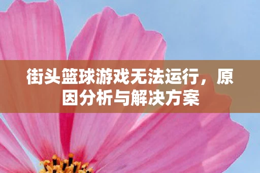 街头篮球游戏无法运行图片