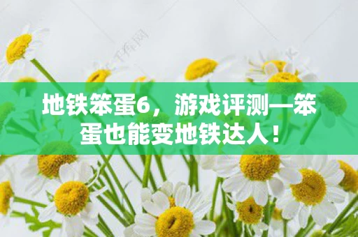 笨蛋也能变地铁达人图片