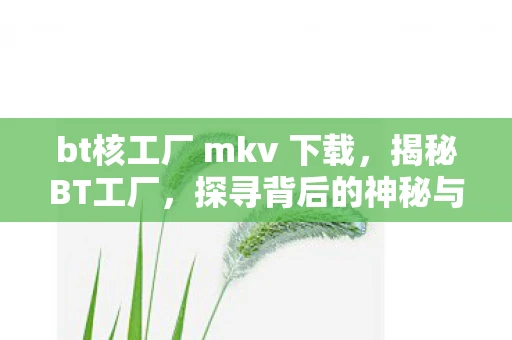bt核工厂 mkv 下载，揭秘BT工厂，探寻背后的神秘与真相
