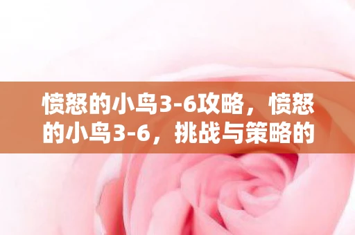 愤怒的小鸟3-6攻略,愤怒的小鸟3-6,挑战与策略的深度解析 愤怒的小鸟3-6攻略,愤怒的小鸟3-6,挑战与策略的深度解析