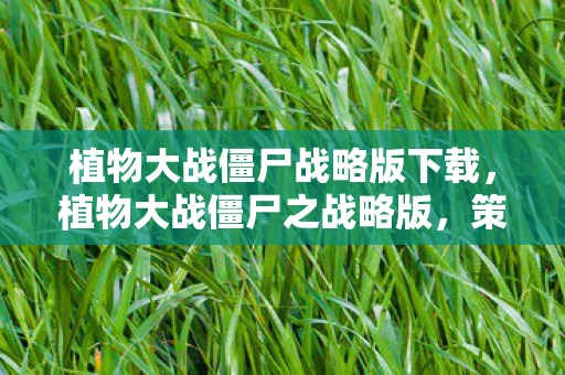 植物大战僵尸战略版下载,植物大战僵尸之战略版,策略与智慧的碰撞 植物大战僵尸战略版下载,植物大战僵尸之战略版,策略与智慧的碰撞