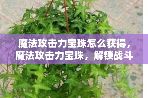 魔法攻击力宝珠怎么获得，魔法攻击力宝珠，解锁战斗新境界的秘宝