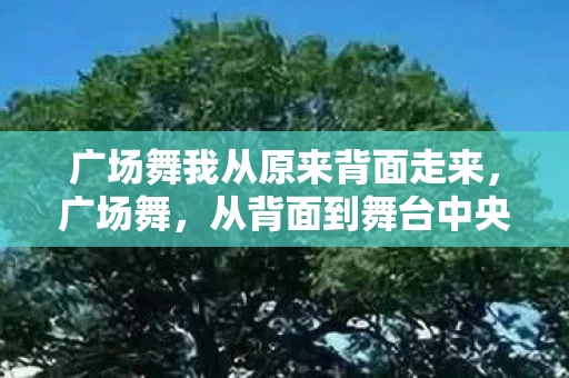 广场舞我从原来背面走来，广场舞，从背面到舞台中央的华丽转身