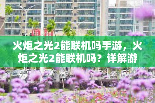 火炬之光2能联机吗手游，火炬之光2能联机吗？详解游戏联机功能
