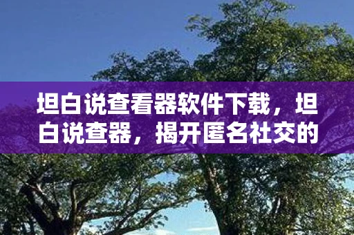 坦白说查看器软件下载,坦白说查器,揭开匿名社交的神秘面纱 坦白说查看器软件下载,坦白说查器,揭开匿名社交的神秘面纱