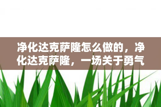 净化达克萨隆怎么做的,净化达克萨隆,一场关于勇气与牺牲的冒险 净化达克萨隆怎么做的,净化达克萨隆,一场关于勇气与牺牲的冒险