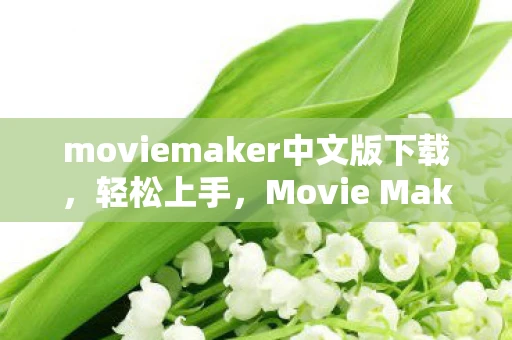 moviemaker中文版下载，轻松上手，Movie Maker中文版全解析
