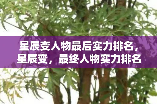 星辰变人物最后实力排名,星辰变,最终人物实力排名 星辰变人物最后实力排名,星辰变,最终人物实力排名