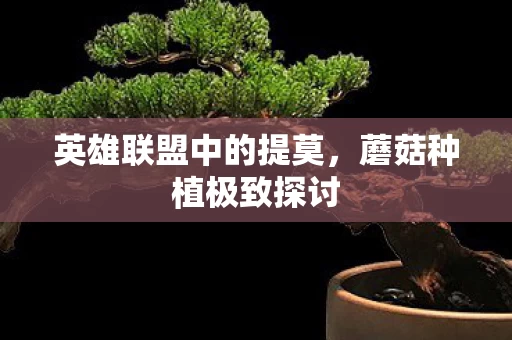 英雄联盟中的提莫图片