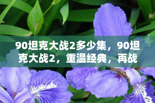 90坦克大战2多少集，90坦克大战2，重温经典，再战沙场