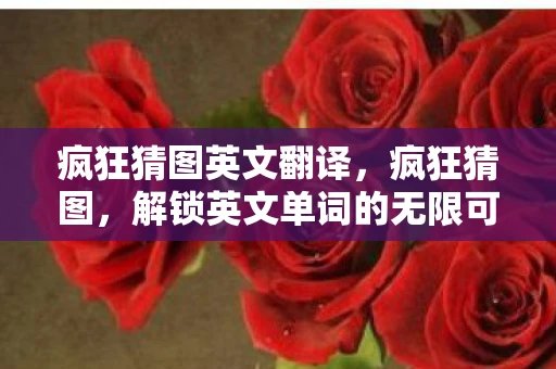 疯狂猜图英文翻译，疯狂猜图，解锁英文单词的无限可能