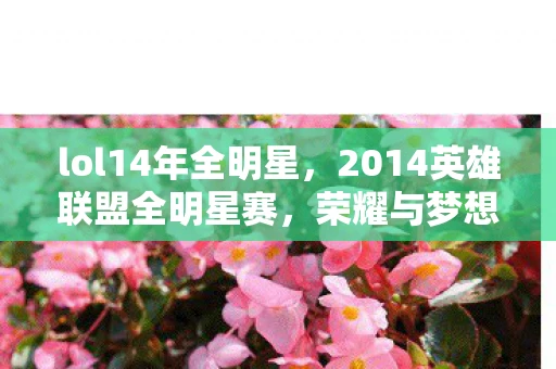 lol14年全明星,2014英雄联盟全明星赛,荣耀与梦想的碰撞 lol14年全明星,2014英雄联盟全明星赛,荣耀与梦想的碰撞