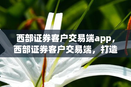 西部证券客户交易端app,西部证券客户交易端,打造高效、安全、便捷的证券交易新体验 西部证券客户交易端app,西部证券客户交易端,打造高效、安全、便捷的证券交易新体验