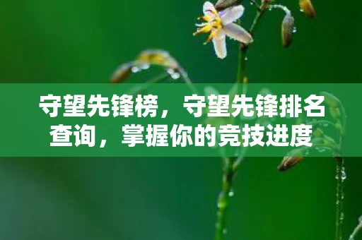 守望先锋榜,守望先锋排名查询,掌握你的竞技进度 守望先锋榜,守望先锋排名查询,掌握你的竞技进度