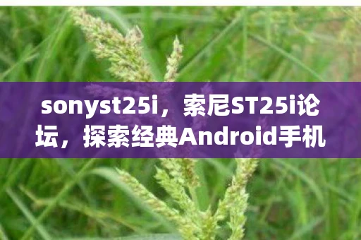 sonyst25i,索尼ST25i论坛,探索经典Android手机的无限可能 sonyst25i,索尼ST25i论坛,探索经典Android手机的无限可能