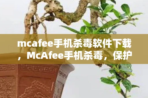 mcafee手机杀毒软件下载,McAfee手机杀毒,保护您的移动设备免受威胁 mcafee手机杀毒软件下载,McAfee手机杀毒,保护您的移动设备免受威胁