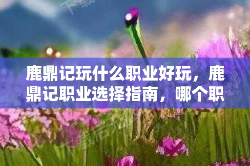 鹿鼎记玩什么职业好玩，鹿鼎记职业选择指南，哪个职业最适合你？