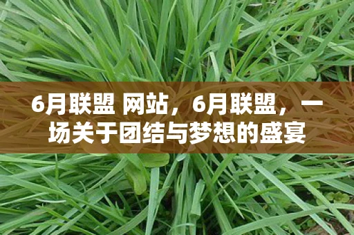 6月联盟 网站，6月联盟，一场关于团结与梦想的盛宴