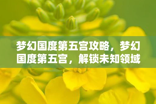 梦幻国度第五宫攻略,梦幻国度第五宫,解锁未知领域的神秘之旅 梦幻国度第五宫攻略,梦幻国度第五宫,解锁未知领域的神秘之旅