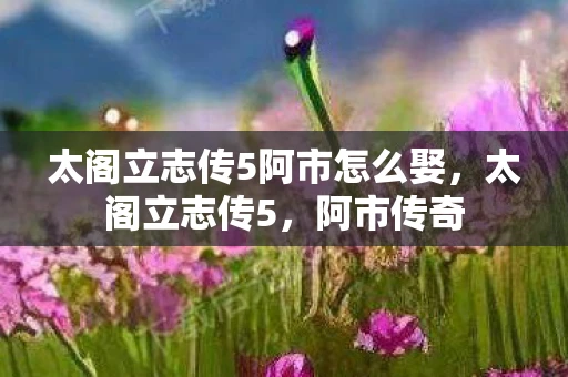 太阁立志传5阿市怎么娶,太阁立志传5,阿市传奇 太阁立志传5阿市怎么娶,太阁立志传5,阿市传奇