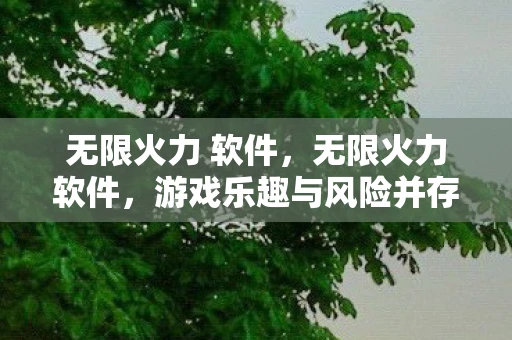 无限火力 软件，无限火力软件，游戏乐趣与风险并存