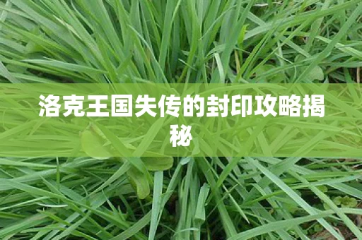 洛克王国失传的封印攻略揭秘图片