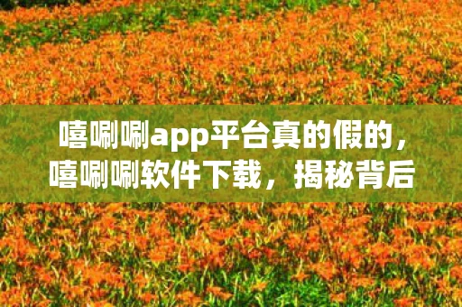 嘻唰唰app平台真的假的,嘻唰唰软件下载,揭秘背后的风险与注意事项 嘻唰唰app平台真的假的,嘻唰唰软件下载,揭秘背后的风险与注意事项