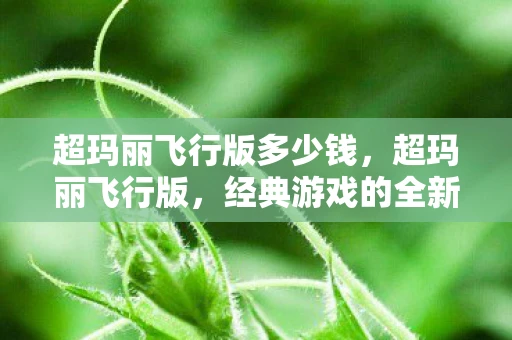 超玛丽飞行版多少钱，超玛丽飞行版，经典游戏的全新挑战