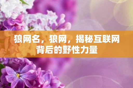 狼网名，狼网，揭秘互联网背后的野性力量