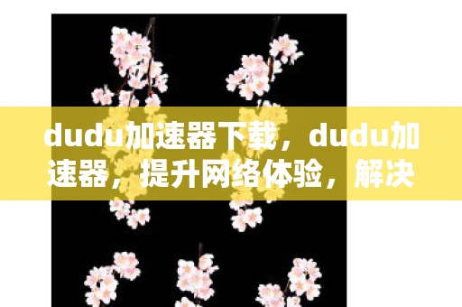 dudu加速器下载，dudu加速器，提升网络体验，解决你的网络烦恼