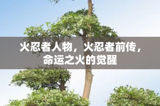 火忍者人物，火忍者前传，命运之火的觉醒