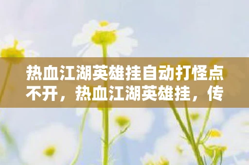 热血江湖英雄挂自动打怪点不开，热血江湖英雄挂，传奇背后的真实与虚幻