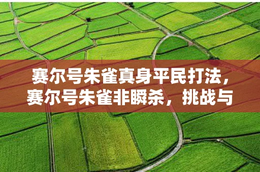 赛尔号朱雀真身平民打法，赛尔号朱雀非瞬杀，挑战与策略的深度解析