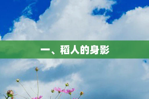 一、稻人的身影