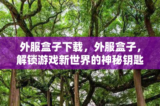 外服盒子下载，外服盒子，解锁游戏新世界的神秘钥匙