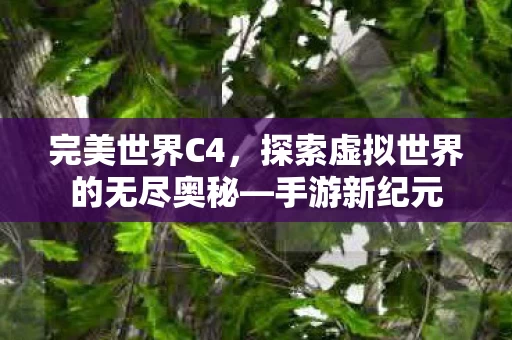 探索虚拟世界的无尽奥秘图片