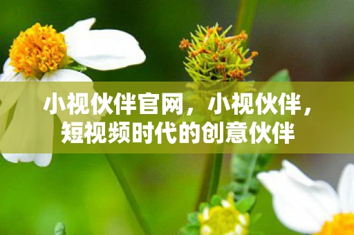 小视伙伴官网，小视伙伴，短视频时代的创意伙伴