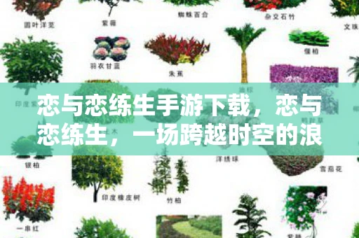 恋与恋练生手游下载，恋与恋练生，一场跨越时空的浪漫邂逅