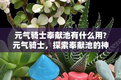 元气骑士奉献池有什么用?元气骑士,探索奉献池的神秘之旅 元气骑士奉献池有什么用?元气骑士,探索奉献池的神秘之旅