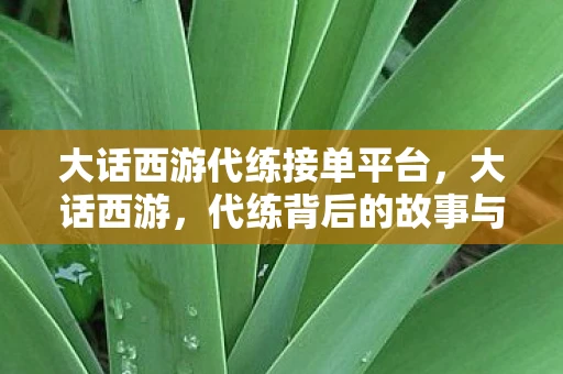 大话西游代练接单平台，大话西游，代练背后的故事与反思