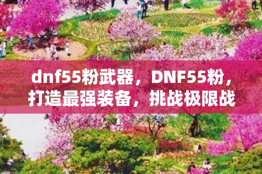 dnf55粉武器，DNF55粉，打造最强装备，挑战极限战力