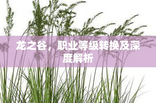 职业等级转换及深度解析图片