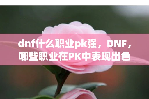 dnf什么职业pk强，DNF，哪些职业在PK中表现出色？