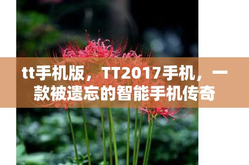 tt手机版，TT2017手机，一款被遗忘的智能手机传奇